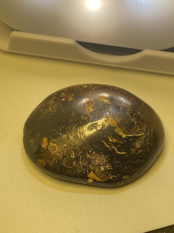 Shop Boulder Opals Online | Vibrant Colors and Natural Beauty - Image 3